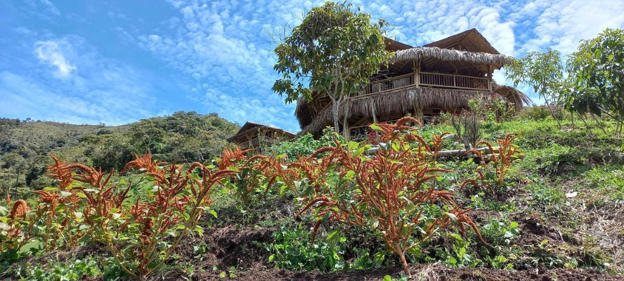 Ecohotel Soplo Del Tambo Cocorna Εξωτερικό φωτογραφία