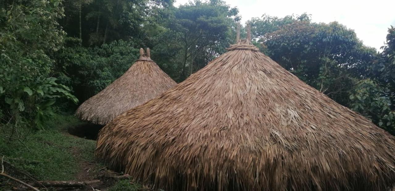 Ecohotel Soplo Del Tambo Cocorna Εξωτερικό φωτογραφία